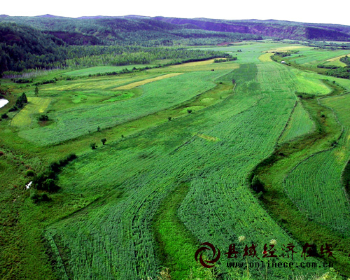 黑龙江大兴安岭地区呼玛县