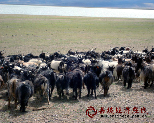 西藏自治区那曲地区尼玛县