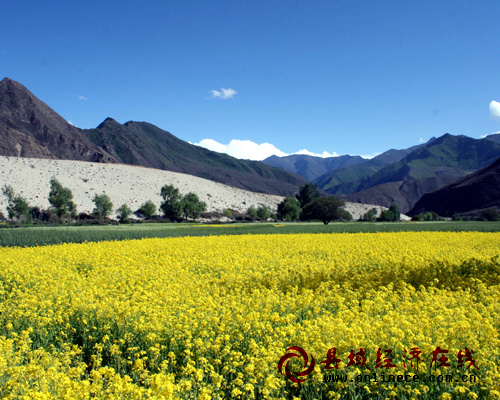 西藏自治区山南地区加查县